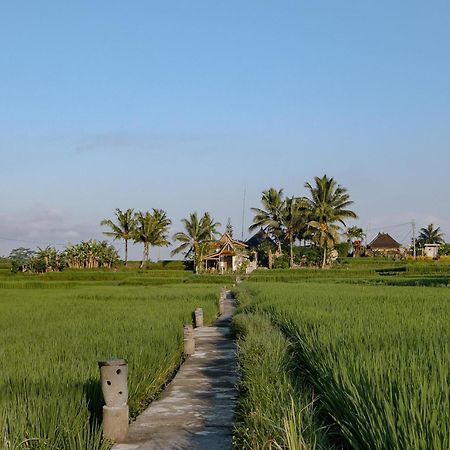 Oemah Cinta Ubud Villa Exterior foto