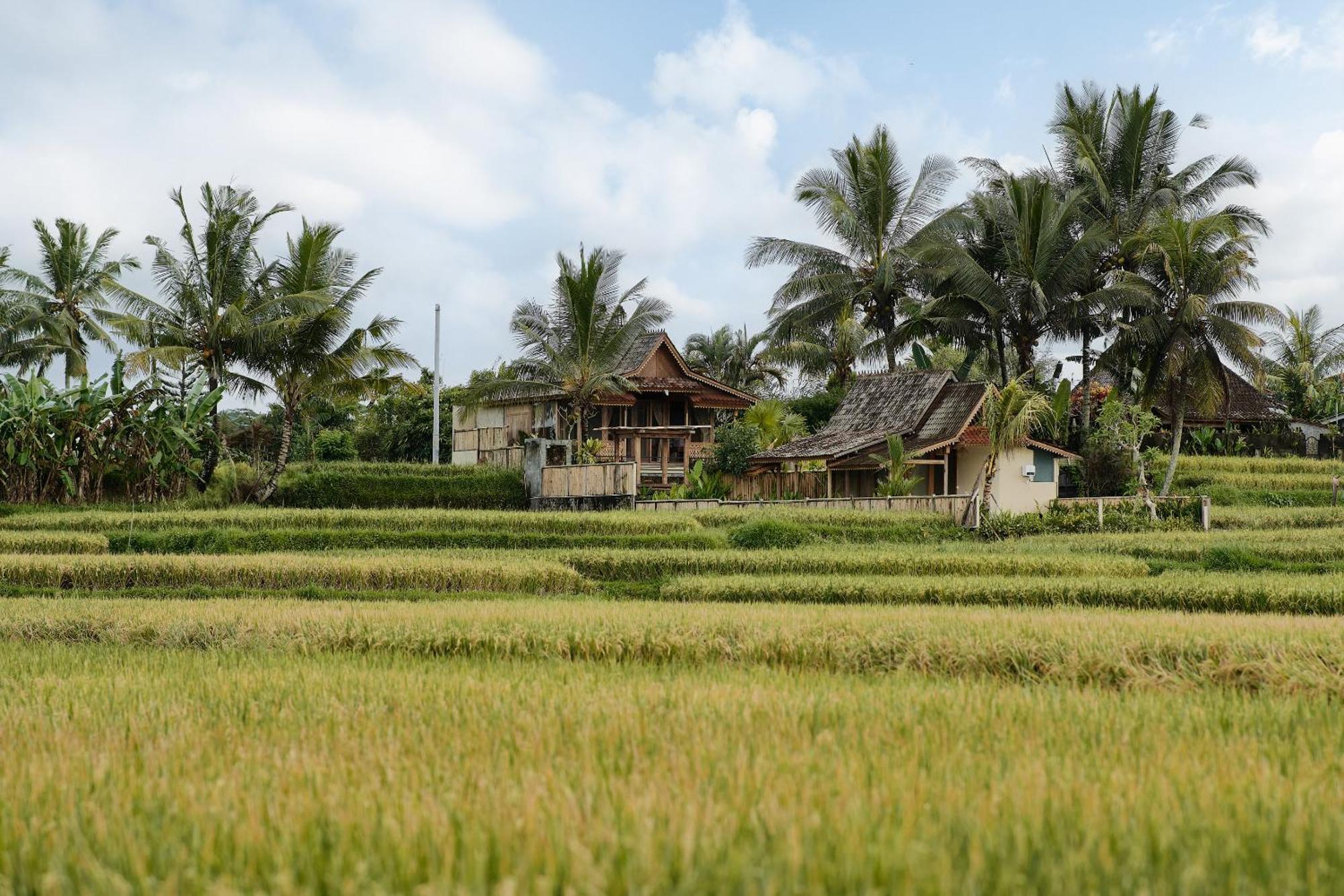 Oemah Cinta Ubud Villa Exterior foto