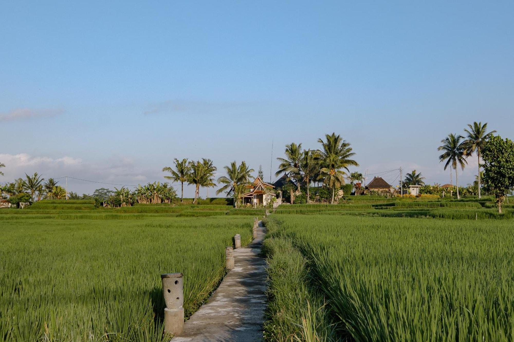 Oemah Cinta Ubud Villa Exterior foto